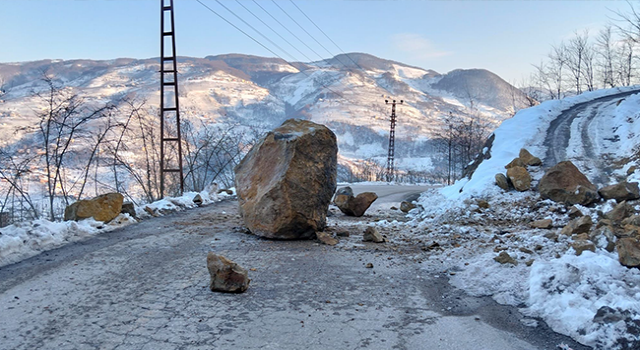 Ordu'da eriyen karlar heyelanlara yol açtı