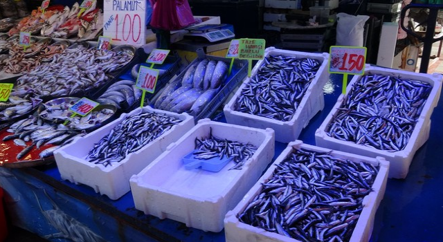 Rize’de deniz suyu ısındı; balık bolluğu azalsa da çeşitlilik sürüyor