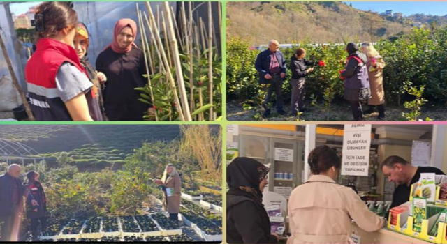 Rize'de Kontrolsüz Fide ve Fidan Satışına Sıkı Denetim