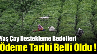 Yaş Çay Destekleme Bedelleri Ödeme Tarihi Belli Oldu !