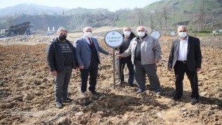 Ardeşen'de Armut Çeşitleri Koruma Altına Alındı