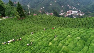 Protokol İmzalandı. Çay Bahçeleri Yenilenecek