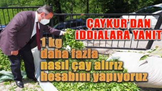 ÇAYKUR: ''1kg fazla çay nasıl alırız hesabını yapıyoruz''