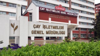 ÇAYKUR’un 79 Kişilik Çay Eksperi Alımına 147 Başvuru