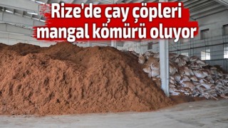 Çay çöpleri mangal kömürü oluyor