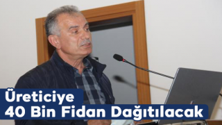 Trabzon'da üreticilere 40 bin fındık fidanı dağıtılacak