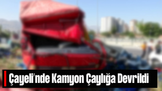 Rize'de Kamyon Çay Bahçesine Devrildi