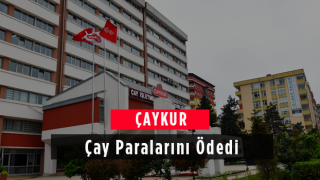 ÇAYKUR Çay Paralarını Ödedi