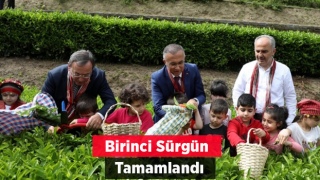 Çaykur Birinci Sürgünü Tamamladı