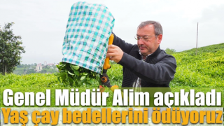 Genel Müdür Alim çay paralarının ödeneceği tarihi açıkladı