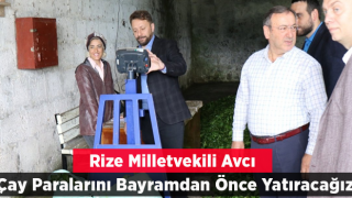 Milletvekili Avcı: Mayıs Ayı Çay Parasını Bayramdan Önce Ödeyeceğiz