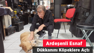 Rizeli esnaf dükkanını köpeklere açtı