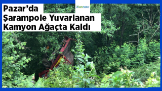 Şarampole Yuvarlanan Kamyon Ağaçta Asılı Kaldı: 1 Yaralı