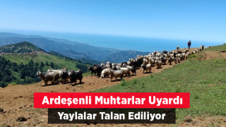 Ardeşen’de 3 muhtar Zizene Yaylasındaki talan için uyardı