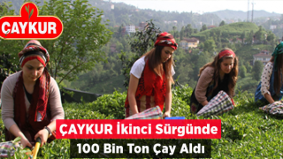 ÇAYKUR, 2. Sürgünde 100 Bin Ton Çay Aldı