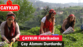 ÇAYKUR, Fabrikalardan 24 Saat Yaş Çay Alımını Durdurdu