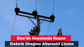 Rize’de kopan elektrik direğinin yerini ağaç aldı