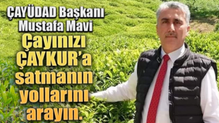 Mustafa Mavi 'Çayınızı ÇAYKUR’a satmanın yollarını arayın.'