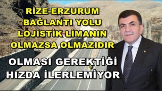 "Rize Erzurum Bağlantı Yolu Lojistik Limanın Olmazsa Olmazıdır Ama Olması Gerektiği Hızda İlerlemiyor"