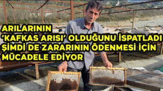 Arılarının ’Kafkas Arısı’ Olduğunu İspatladı Şimdi de Zararının Ödenmesi İçin Mücadele Ediyor