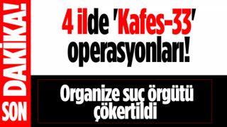 4 ilde Kafes-33 Operasyonları: Organize suç örgütü çökertildi