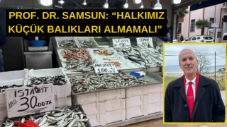 Prof. Dr. Samsun: “Halkımız Küçük Balıkları Almamalı”