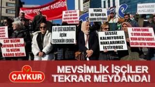 ÇAYKUR Mevsimlik İşçileri Tekrar Meydanda!