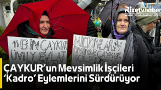 ÇAYKUR’un Mevsimlik İşçileri ‘Kadro’ Eylemlerini Sürdürüyor