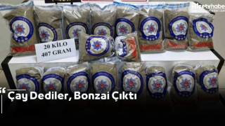 Çay Dediler, Bonzai Çıktı