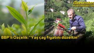 BBP’li Özçelik:”Yaş çay fiyatını düzeltin”