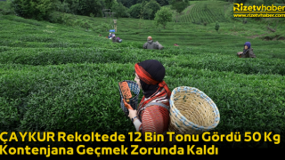 ÇAYKUR Rekoltede 12 Bin Tonu Gördü 50 Kg Kontenjana Geçmek Zorunda Kaldı