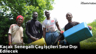 Kaçak Senegalli Çay İşçileri Sınır Dışı Edilecek