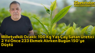 Milletvekili Ocaklı: 100 Kg Yaş Çay Satan Üretici 2 Yıl Önce 233 Ekmek Alırken Bugün 150’ye Düştü