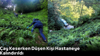 Rize’de Çay Keserken Düşen Kişi Hastaneye Kalındırıldı