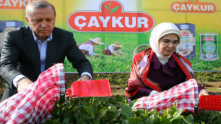 Cumhurbaşkanı Erdoğan'ın Rize'deki Toplu Açılış Tören Saati Belli Oldu. Rizeli Hemşehrilerinin ise Erdoğan'dan Acil Beklentileri