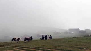 Kaçkar yaylalarında "Çöp torbası cebinde, doğa dostun elinde" seferberliği