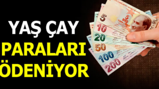 Çay parası ödeme günü belli oldu