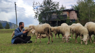 Kaymakam olacaktı çoban oldu