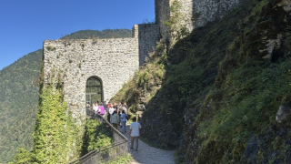 Uluslararası Karadeniz Rize-Ayder Forumu'na katılan heyet, Ayder Yaylası'nda fidan dikti