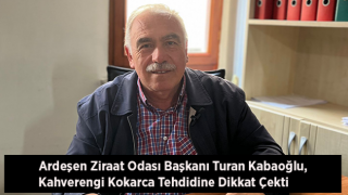 Ardeşen Ziraat Odası Başkanı Turan Kabaoğlu, Kahverengi Kokarca Tehdidine Dikkat Çekti