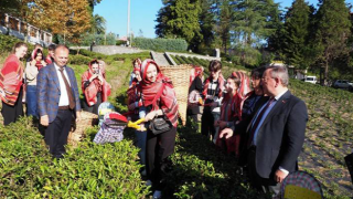 Makedonyalı Türk Gençler ÇAYKUR'un konuğu oldu