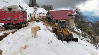 Rize’de yaylada küçükbaş ve büyükbaş hayvanları ile mahsur kalan 6 kişi kurtarıldı