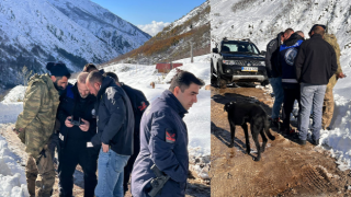 Ayı saldırdığı için ahırdan kaçan sürü 20 gündür Rize'nin karlı dağlarında aranıyor