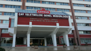 ÇAYKUR, Organik Çay Üreticilerine İkinci Taksiti Ödüyor