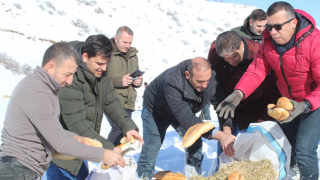 Erzurum'da yaban hayatı için doğaya yem bırakıldı