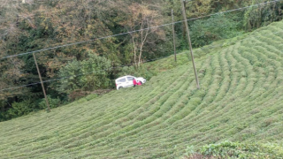 Rize'de araç çay bahçesine yuvarlandı