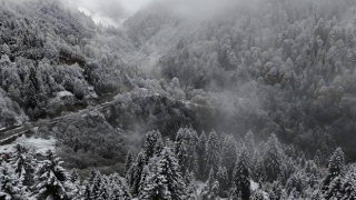 Rize'nin yüksek kesimlerine kar yağdı