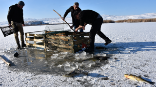 Buz tutan göllerde 'Eskimo' usulü balık avı