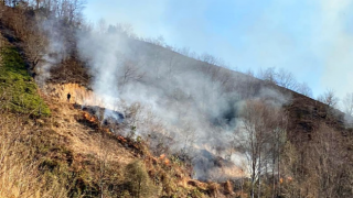 Rize'de anız yangını ormana sıçradı; 15 dönüm alan zarar gördü