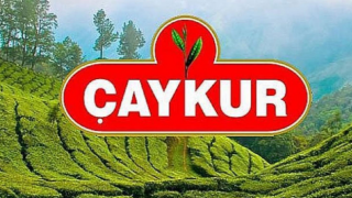 ÇAYKUR, BUDAMA TESPİT ÇALIŞMALARINA BAŞLIYOR